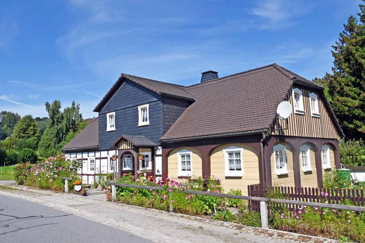 Tammer